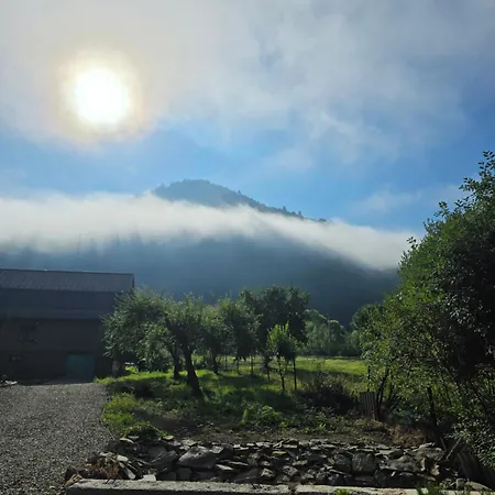 Holiday home Carpathian Retreat